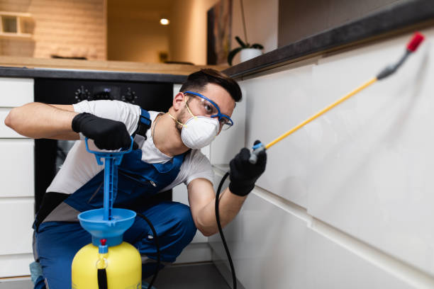 Best Flea Control Services  in Lipatria, CA