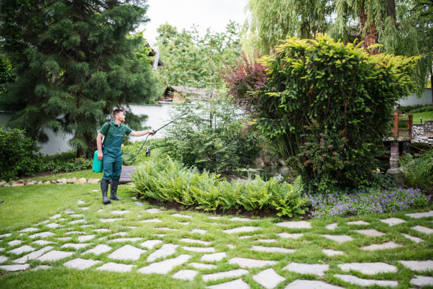 Best Exterminator Services  in Lipatria, CA