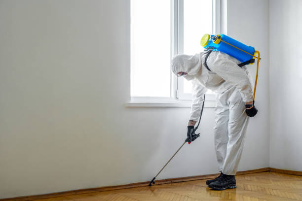 Best Cockroach Control Services  in Lipatria, CA