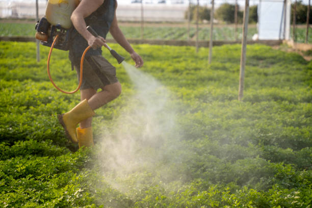 Pest Control for Restaurants in Calipatria, CA