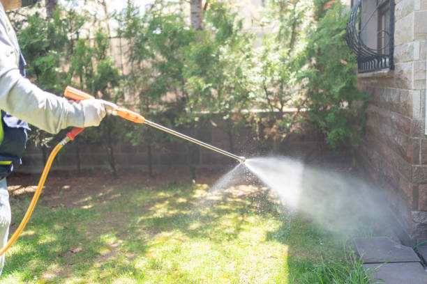 Best Rat Extermination Near Me  in Lipatria, CA
