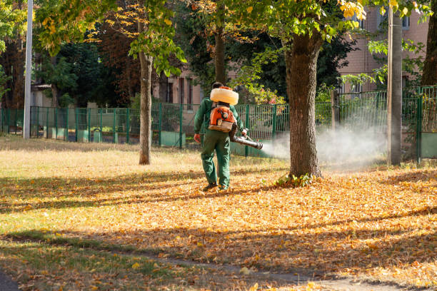 Best Pest Inspection Near Me  in Lipatria, CA